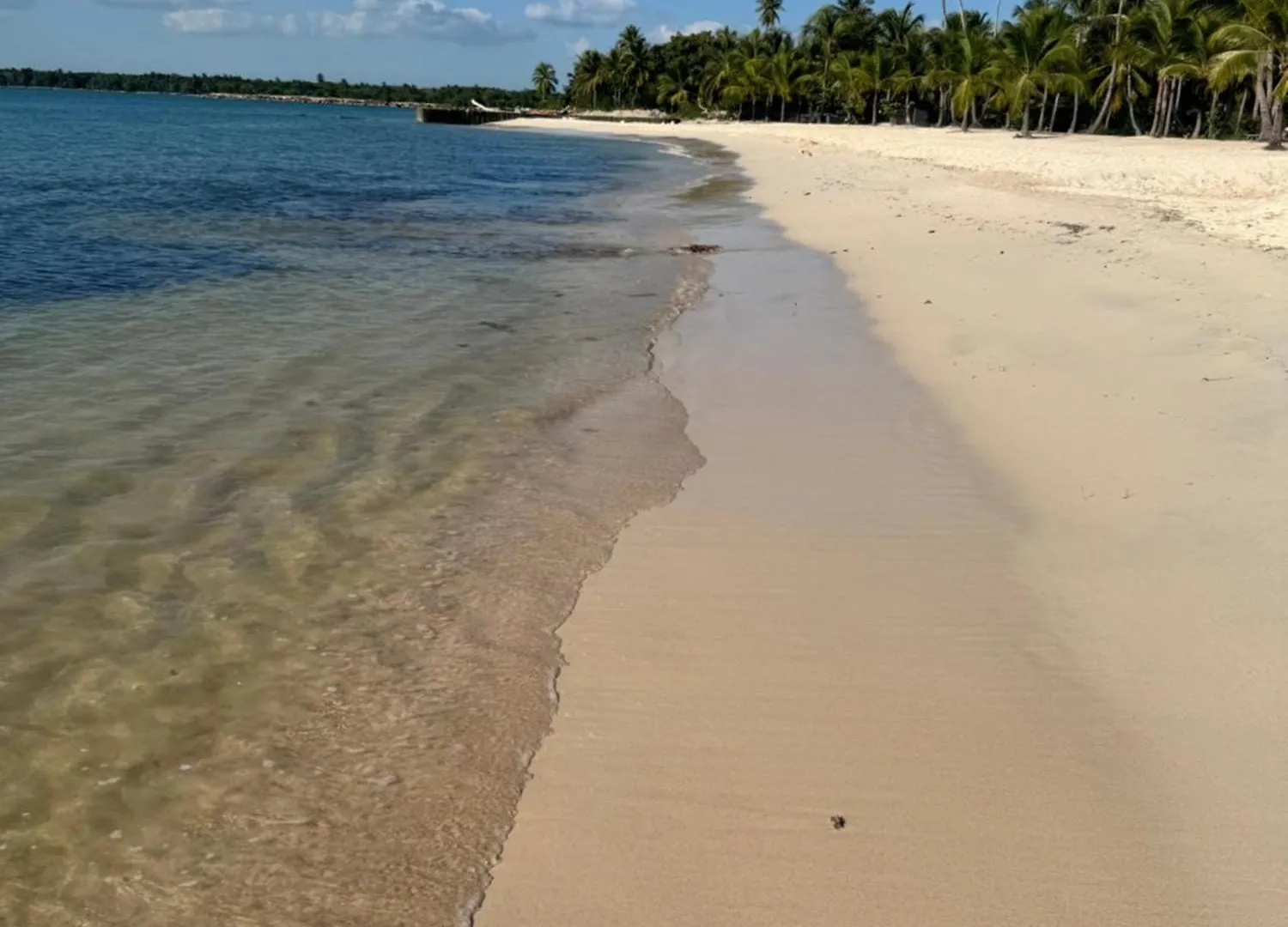 Playa Nueva Romana South Beach Boca del Soco Apartment